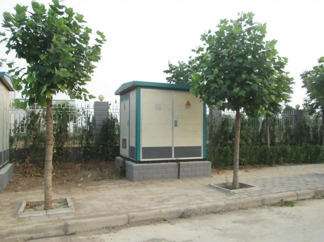 东丰1000KVA欧式箱式变压器